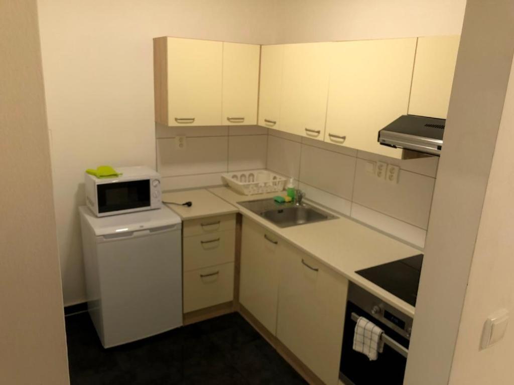 Apartmans In The Center With Privat Parking Apartamento Brno Exterior foto